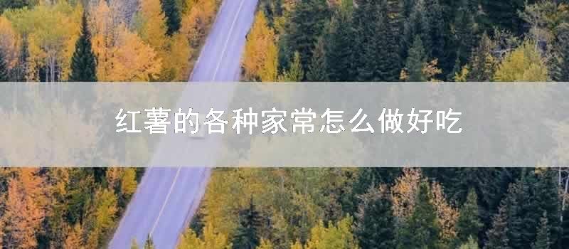 红薯的各种家常怎么做好吃