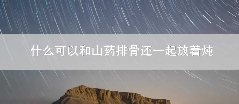 什么可以和山药排骨还一起放着炖