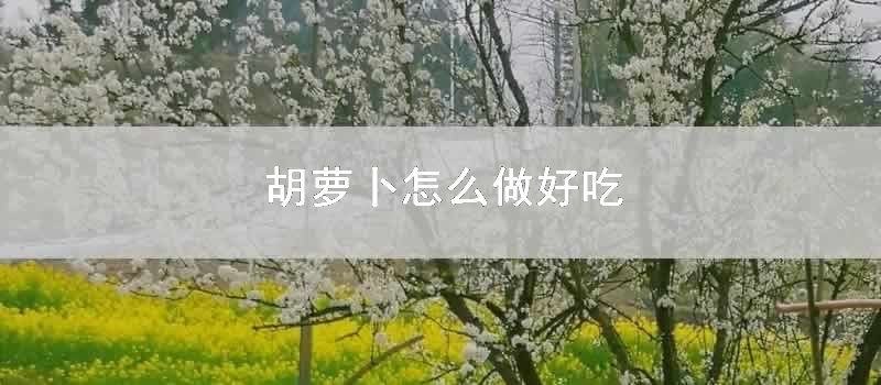 胡萝卜怎么做好吃