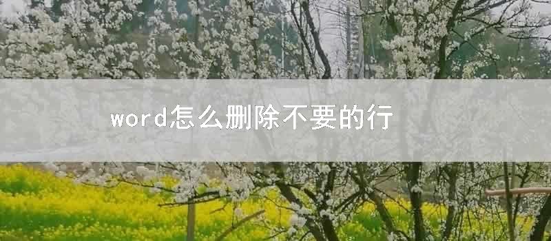 word怎么删除不要的行