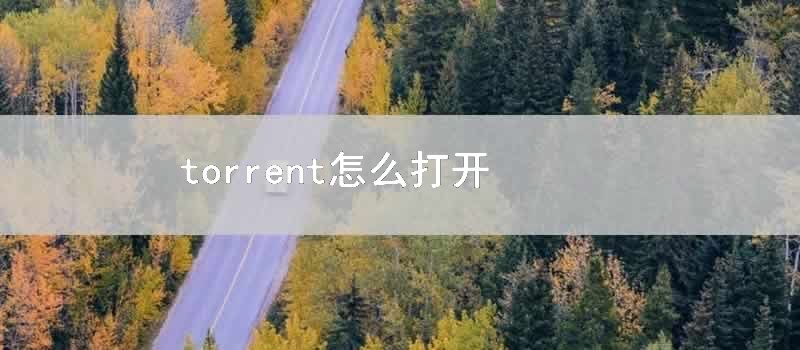 torrent怎么打开