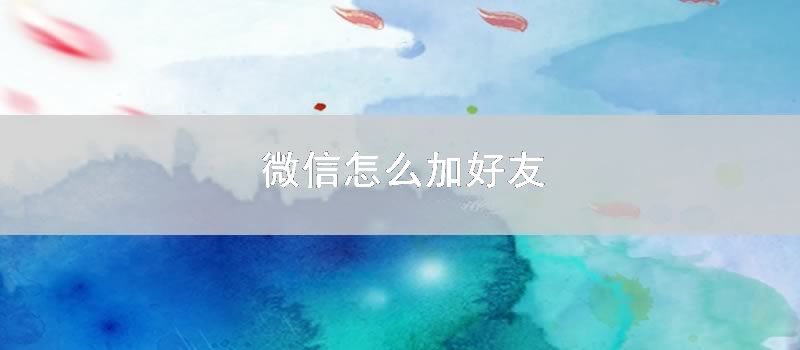 微信怎么加好友