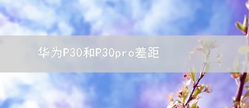 华为P30和P30pro差距