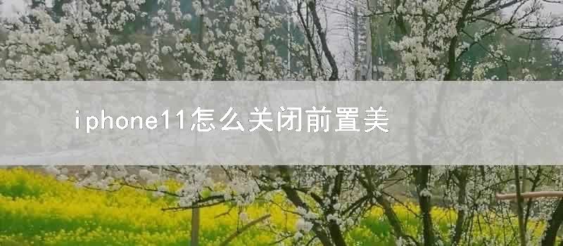 iphone11怎么关闭前置美颜