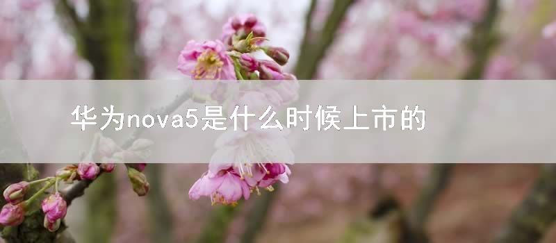华为nova5是什么时候上市的