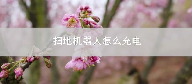 扫地机器人怎么充电