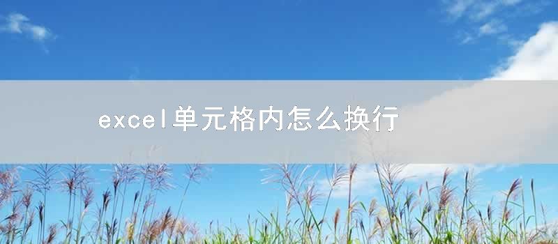 excel单元格内怎么换行