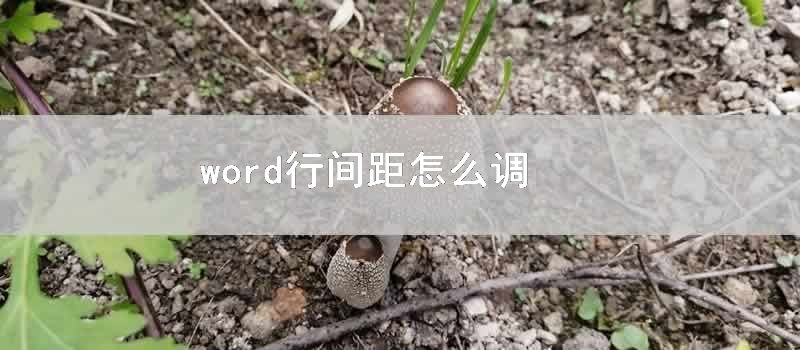 word行间距怎么调