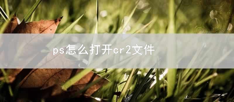 ps怎么打开cr2文件