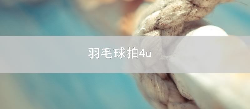 羽毛球拍4u