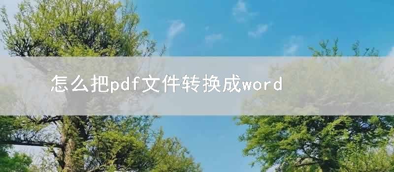 怎么把pdf文件转换成word