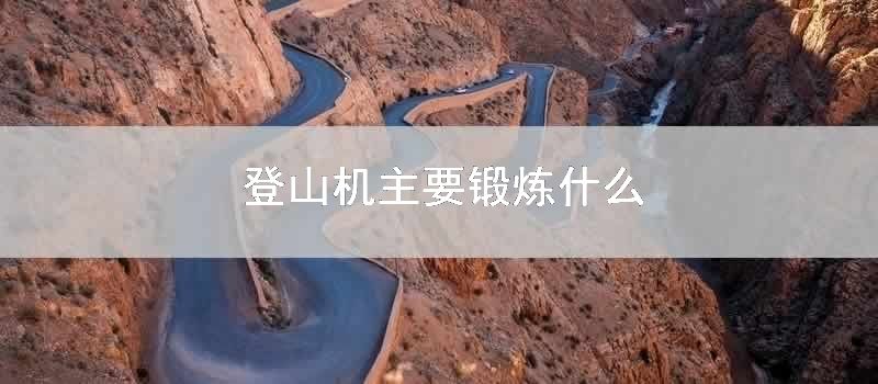 登山机主要锻炼什么