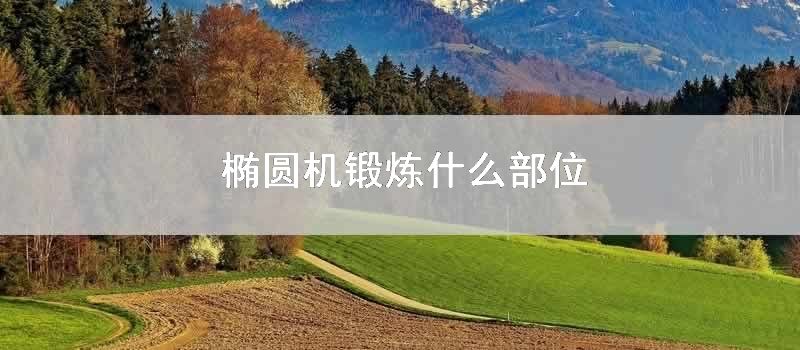 椭圆机锻炼什么部位