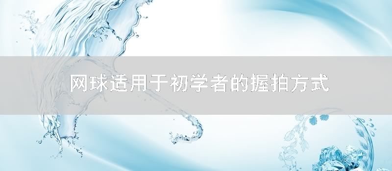 网球适用于初学者的握拍方式