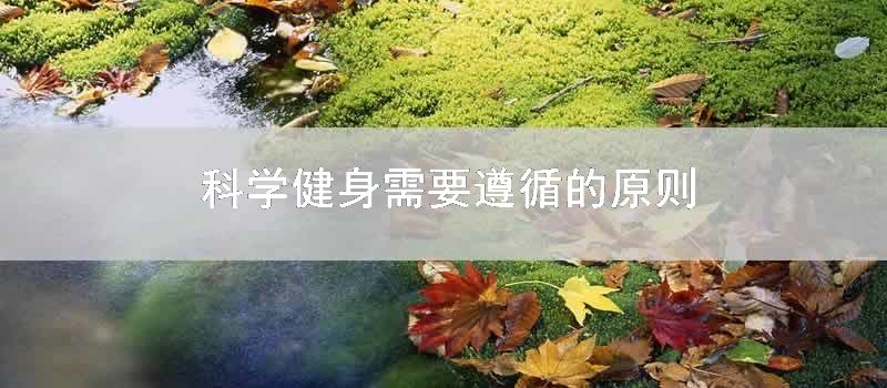 科学健身需要遵循的原则