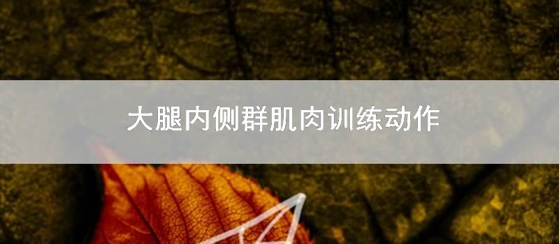 大腿内侧群肌肉训练动作