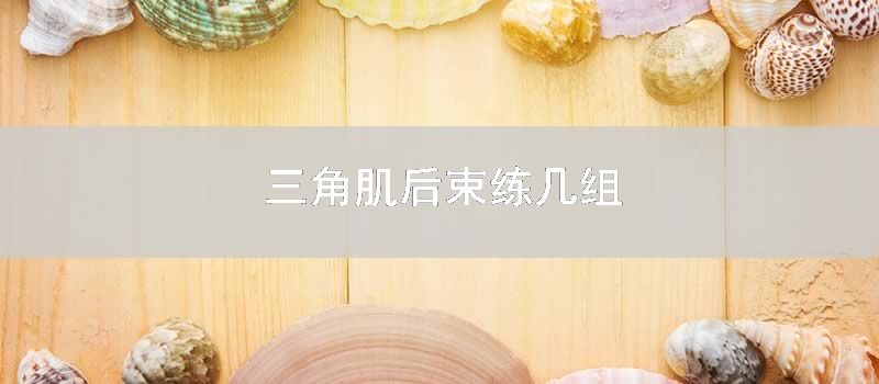 三角肌后束练几组