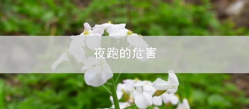 夜跑的危害