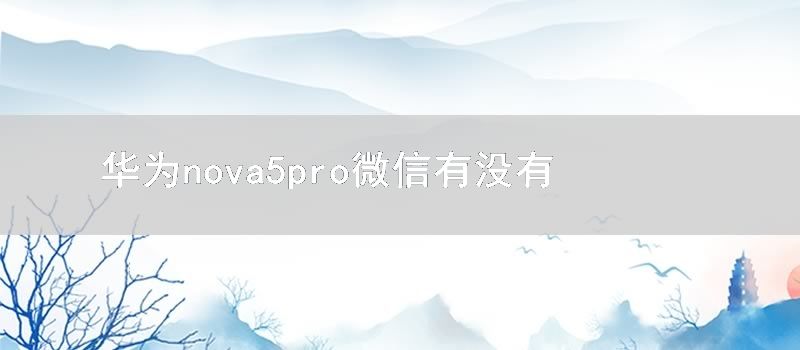 华为nova5pro微信有没有美颜