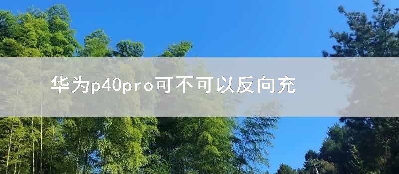 华为p40pro可不可以反向充电