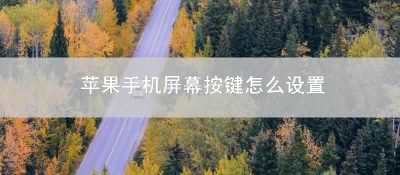 苹果手机屏幕按键怎么设置