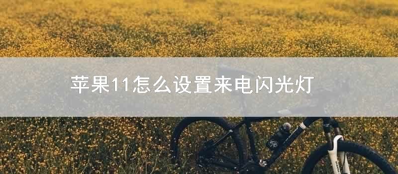 苹果11怎么设置来电闪光灯