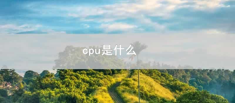 cpu是什么