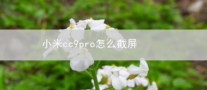 小米cc9pro怎么截屏