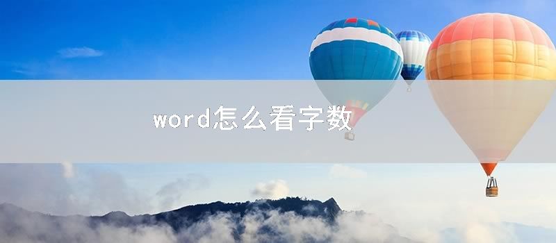 word怎么看字数