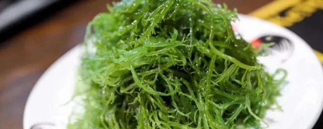 海草有什麼作用 海草有哪些作用