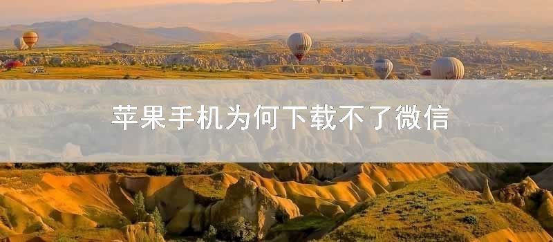 苹果手机为何下载不了微信