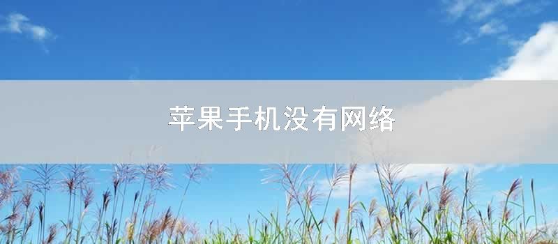 苹果手机没有网络