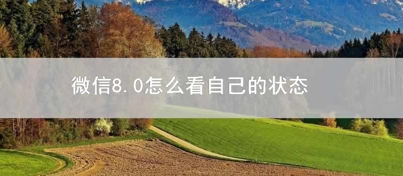 微信8.0怎么看自己的状态