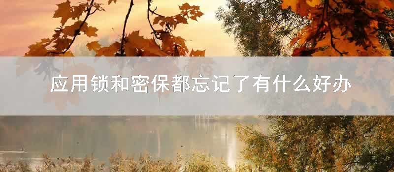 应用锁和密保都忘记了有什么好办法