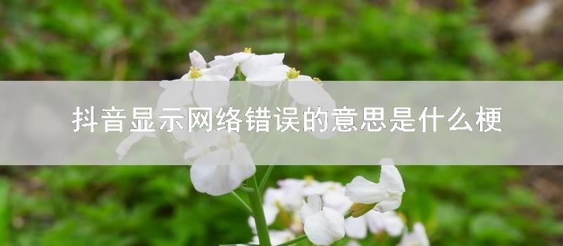 抖音显示网络错误的意思是什么梗