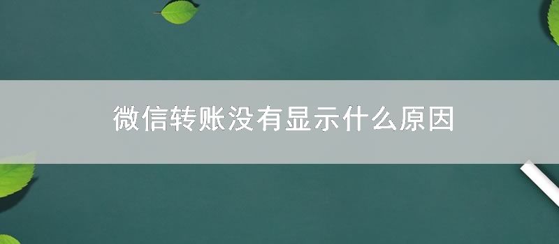 微信转账没有显示什么原因