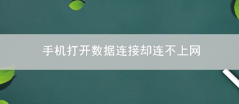 手机打开数据连接却连不上网