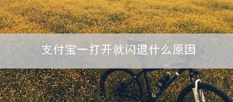 支付宝一打开就闪退什么原因