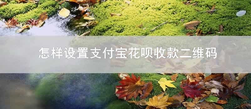 怎样设置支付宝花呗收款二维码