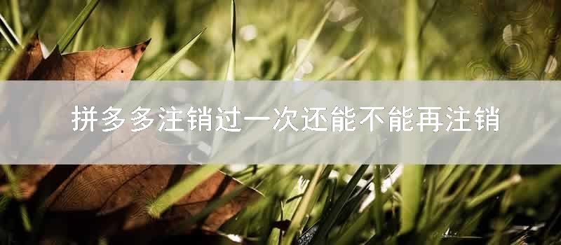 拼多多注销过一次还能不能再注销