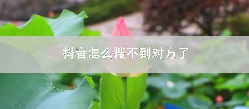 抖音怎么搜不到对方了