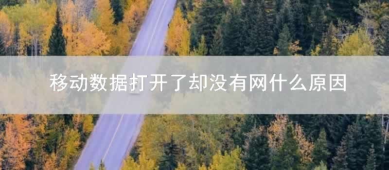 移动数据打开了却没有网什么原因