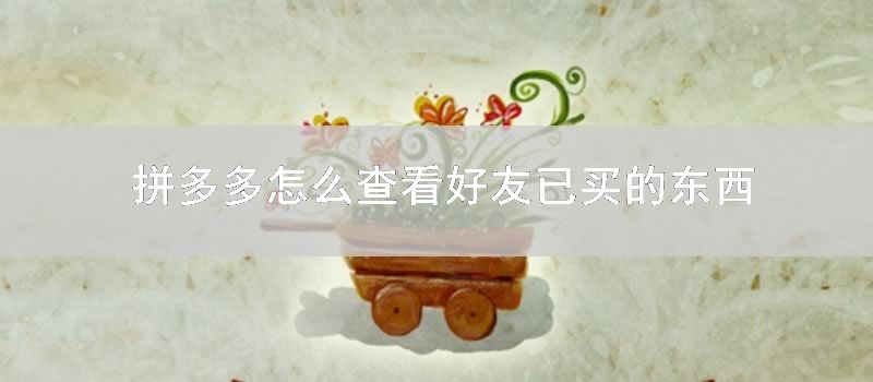 拼多多怎么查看好友已买的东西