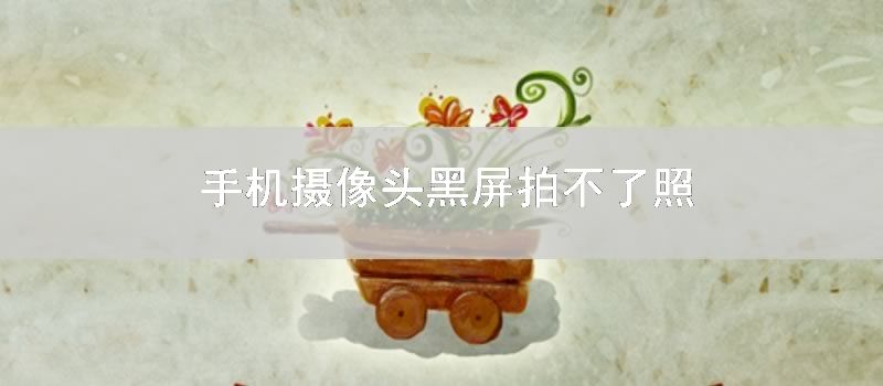 手机摄像头黑屏拍不了照