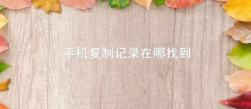 手机复制记录在哪找到