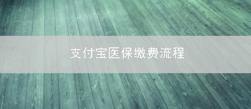 支付宝医保缴费流程