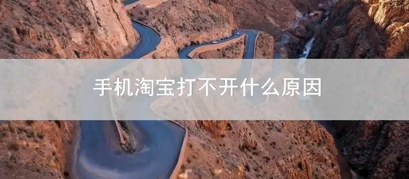 手机淘宝打不开什么原因
