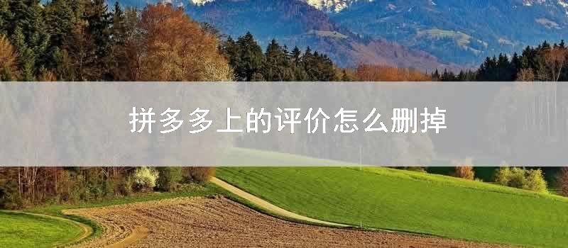 拼多多上的评价怎么删掉