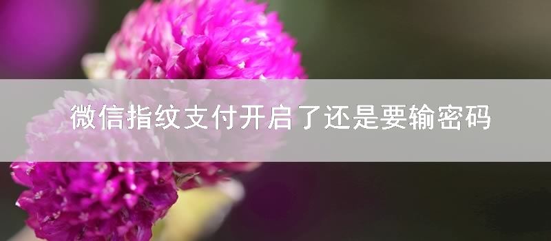 微信指纹支付开启了还是要输密码
