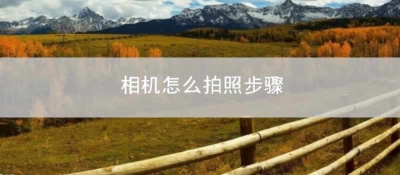 相机怎么拍照步骤